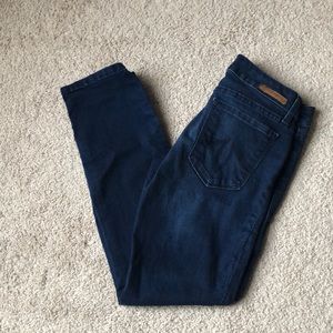 Level 99 Lily Skinny Straight Jeans